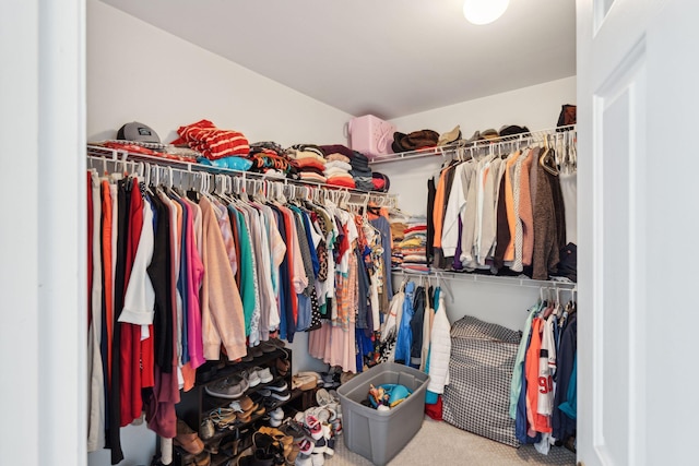 walk in closet featuring carpet