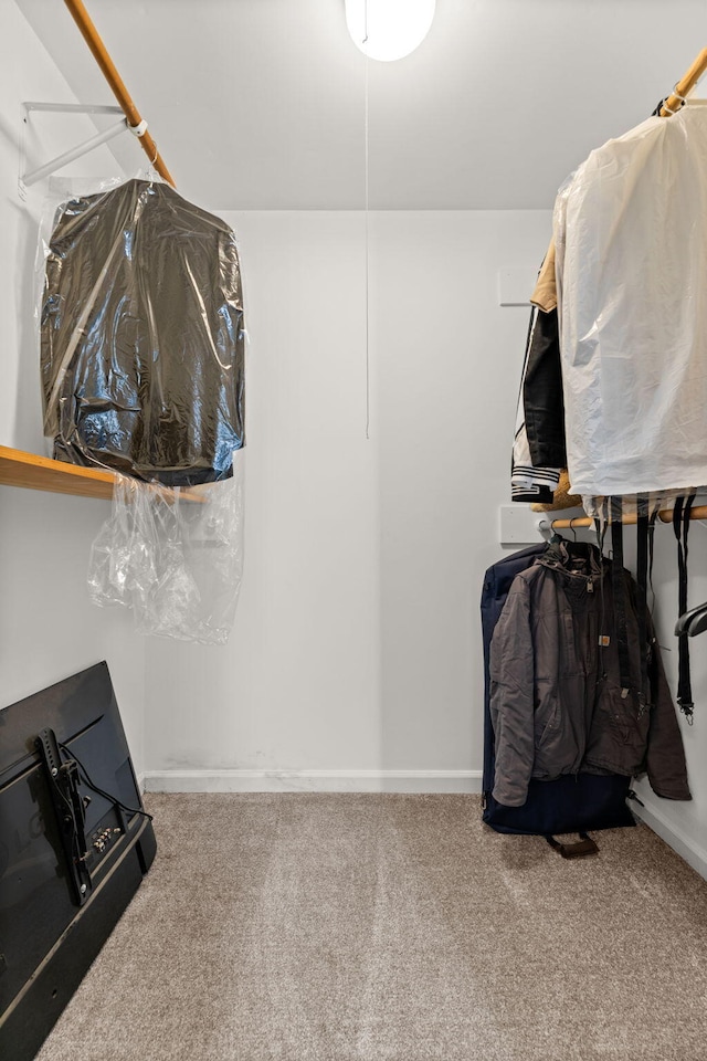 walk in closet featuring carpet floors