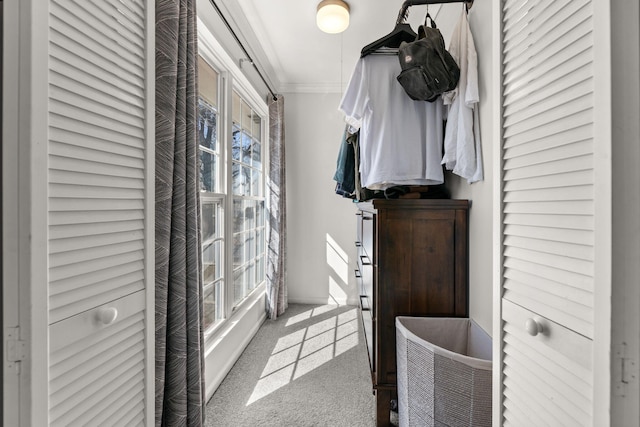 spacious closet with carpet flooring