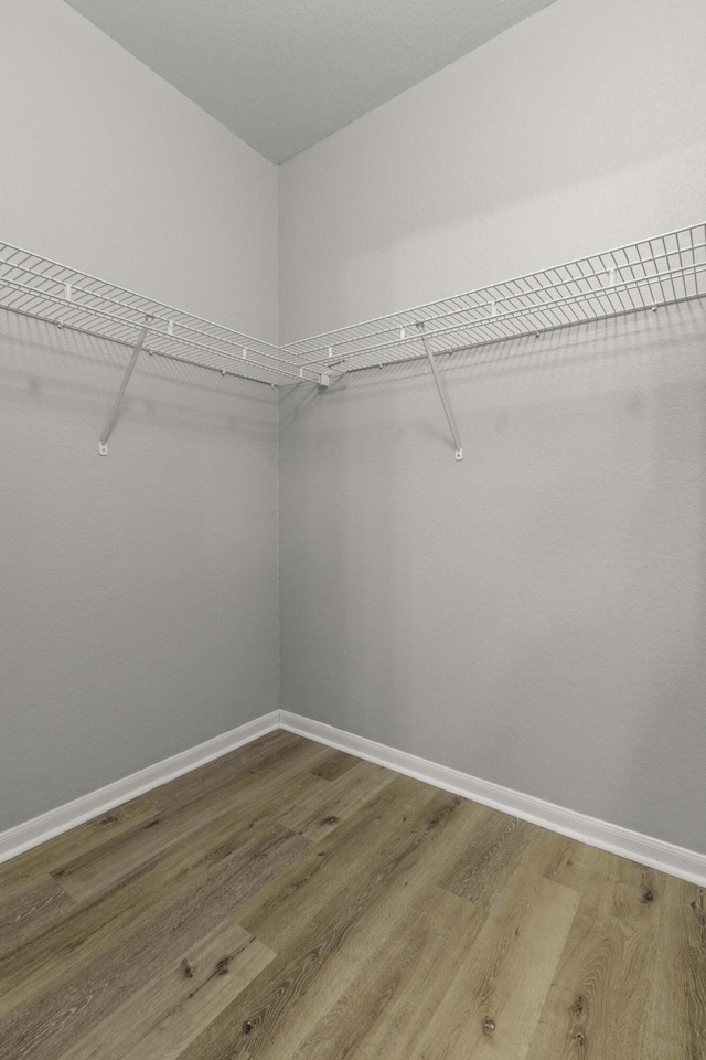 walk in closet featuring wood finished floors