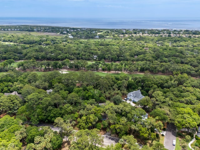 2653 Seabrook Island Rd, Seabrook Island, SC 29455 - aerial view of a forest and a nearby body of water