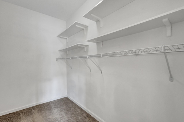 walk in closet featuring dark colored carpet