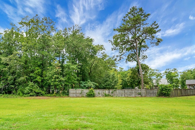 717 Butter Rd, Bonneau, SC 29431 - view of yard