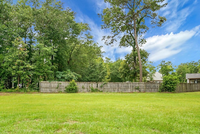 717 Butter Rd, Bonneau, SC 29431 - view of yard