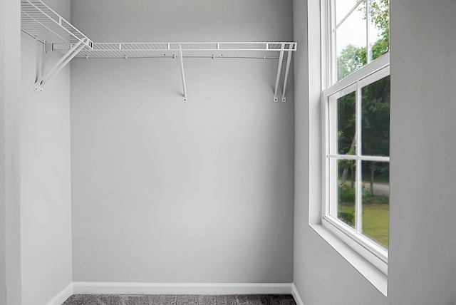 717 Butter Rd, Bonneau, SC 29431 - walk in closet featuring carpet floors