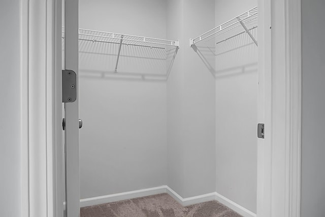 717 Butter Rd, Bonneau, SC 29431 - spacious closet with carpet floors