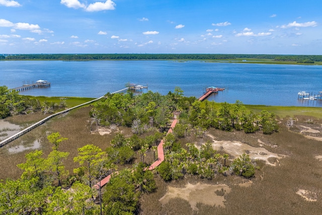 2772 Latrobe Ct, Mount Pleasant, SC 29466 - water view