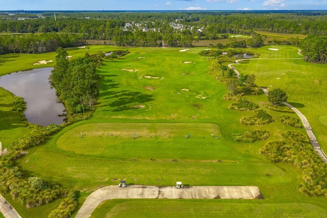 2772 Latrobe Ct, Mount Pleasant, SC 29466 - aerial view of a nearby body of water, a heavily wooded area, and a local golf course