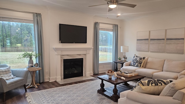 living room with crown molding, plenty of natural light, a ceiling fan, and wood finished floors