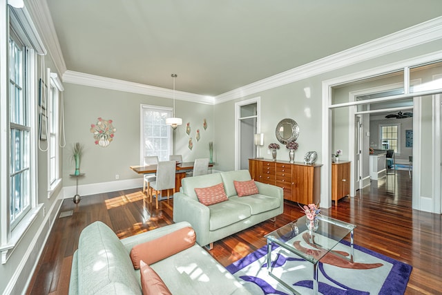 living room featuring ornamental molding, wood finished floors, and baseboards