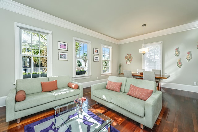 living room featuring crown molding, wood finished floors, and baseboards