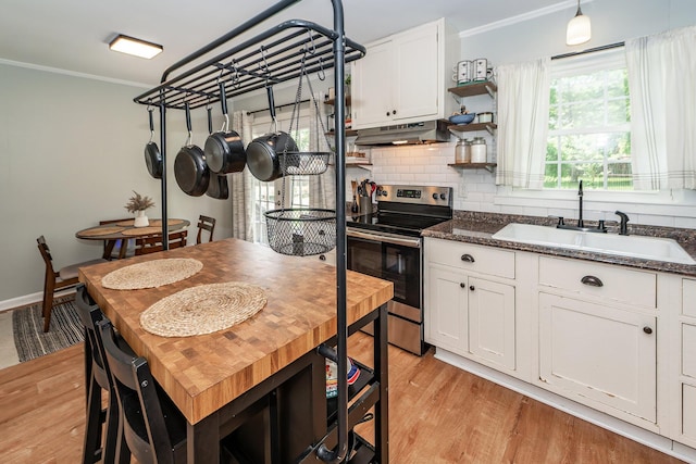 kitchen with a sink, electric range, light wood-style flooring, and ornamental molding