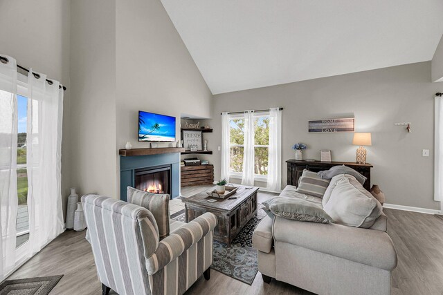 living room featuring high vaulted ceiling and light hardwood / wood-style floors