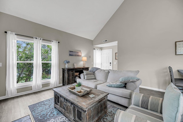 living room featuring high vaulted ceiling and hardwood / wood-style flooring