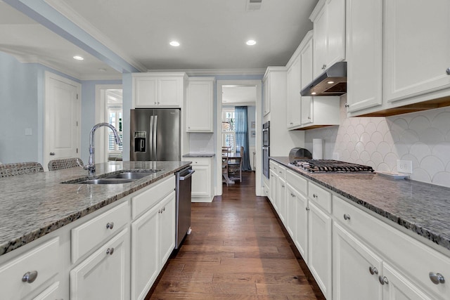 1325 Whisker Pole Ln, Mount Pleasant, SC 29466 - kitchen featuring appliances with stainless steel finishes, a sink, under cabinet range hood, ornamental molding, and white cabinets
