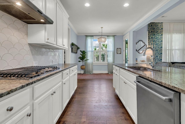 1325 Whisker Pole Ln, Mount Pleasant, SC 29466 - kitchen featuring stainless steel appliances, under cabinet range hood, crown molding, a sink, and tasteful backsplash