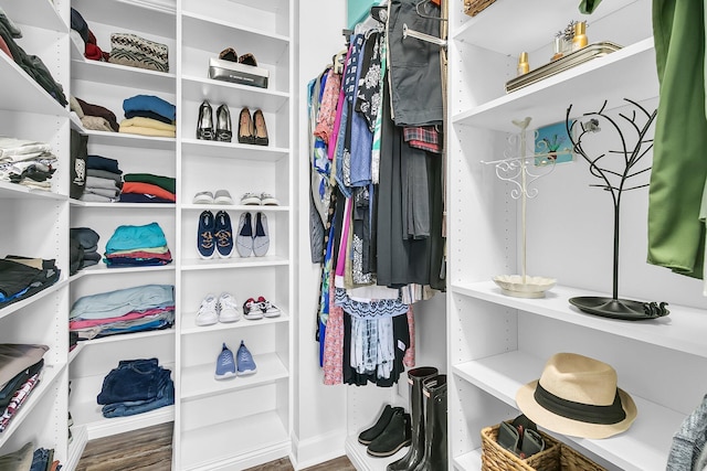 spacious closet with hardwood / wood-style flooring