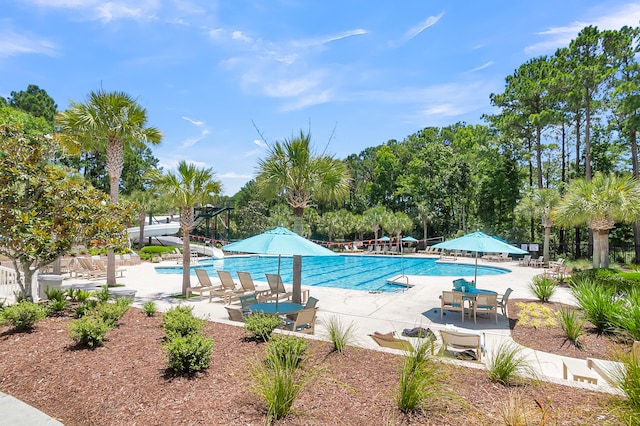 view of pool featuring a patio