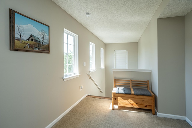 unfurnished bedroom with a textured ceiling and carpet