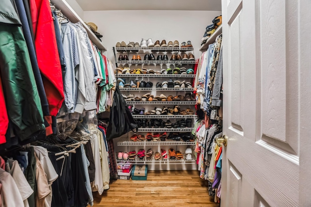 spacious closet featuring wood-type flooring