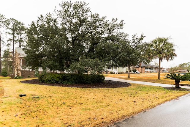 view of property's community with a lawn