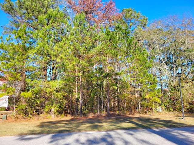 Listing photo 2 for LOT44PH Plantation Dr, Santee SC 29142