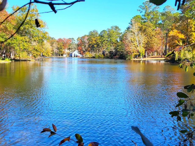 Listing photo 3 for LOT44PH Plantation Dr, Santee SC 29142