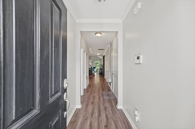 hallway with wood-type flooring and crown molding