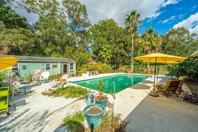 view of pool featuring a patio