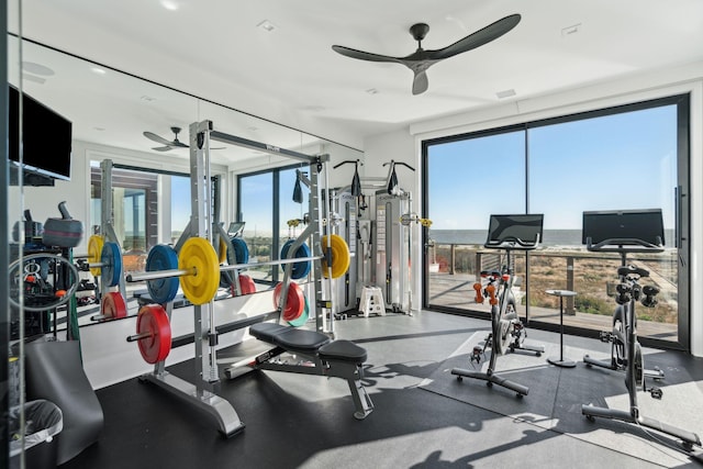 exercise room featuring a wealth of natural light and ceiling fan