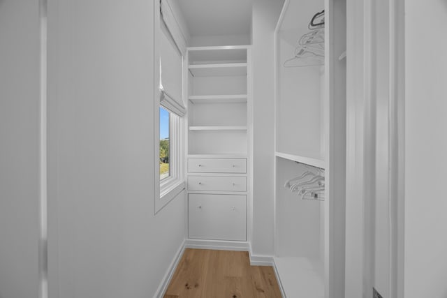 spacious closet with light hardwood / wood-style flooring