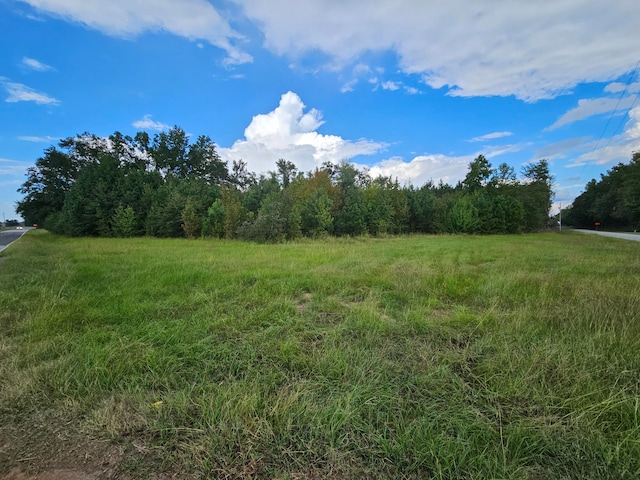 6193 Bloomville Rd, Manning SC, 29102 land for sale