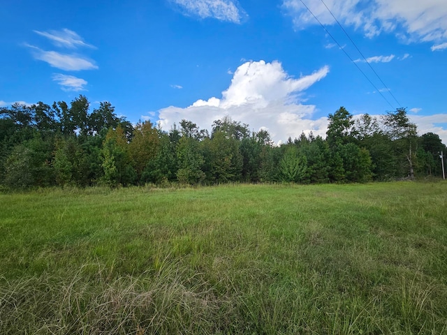 Listing photo 3 for 6193 Bloomville Rd, Manning SC 29102