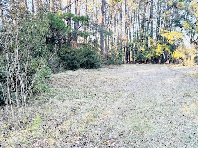 308 Peachtree Rd, Walterboro SC, 29488 land for sale