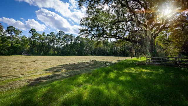 0 Tuten Rd, Round O, SC 29474 - view of yard with a wooded view
