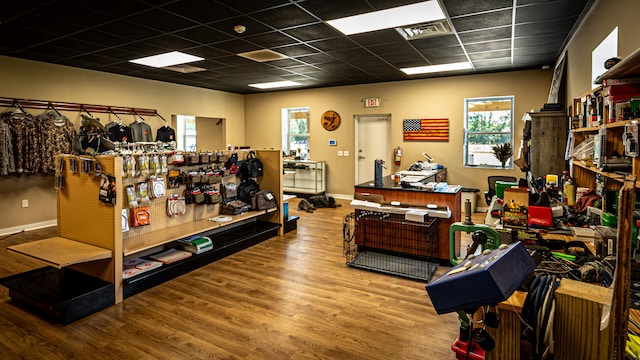 miscellaneous room with hardwood / wood-style floors and plenty of natural light