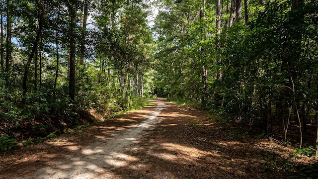 0 Tuten Rd, Round O, SC 29474 - view of road featuring a wooded view