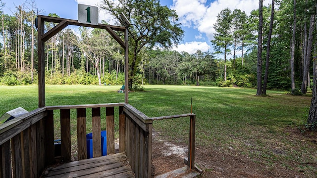0 Tuten Rd, Round O, SC 29474 - view of grassy yard with a wooded view and a deck