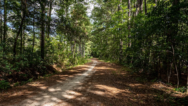 view of road