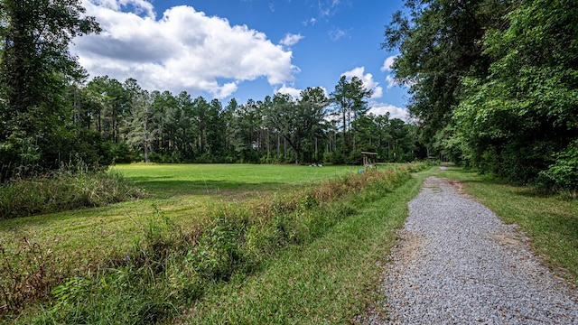 0 Tuten Rd, Round O, SC 29474 - view of road with a forest view