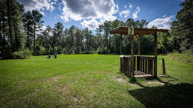 0 Tuten Rd, Round O, SC 29474 - view of green lawn
