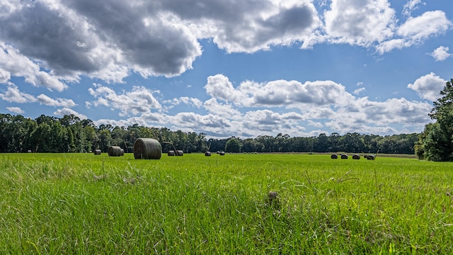 view of nature with a rural view