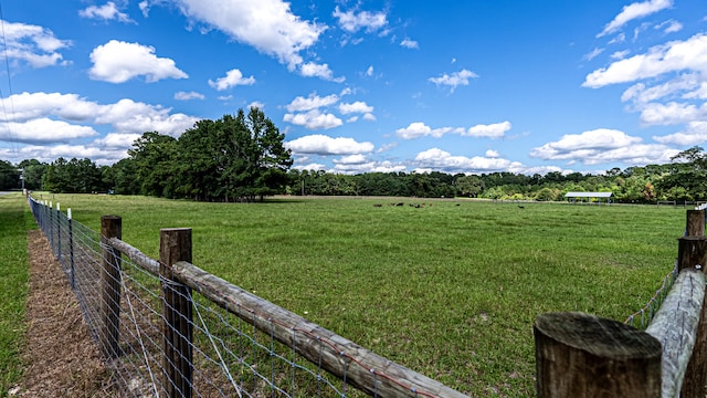 view of yard with a rural view