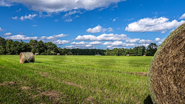 view of nature with a rural view