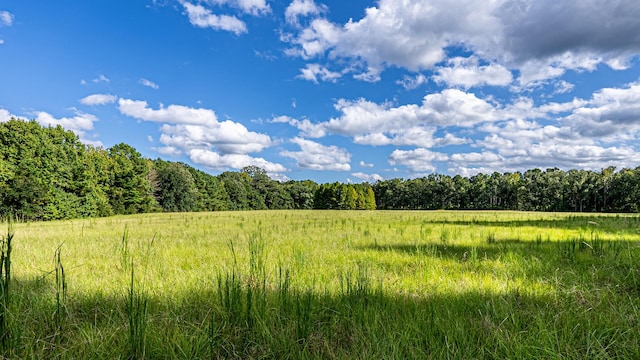 0 Tuten Rd, Round O, SC 29474 - view of tree filled area featuring a view of rural / pastoral area