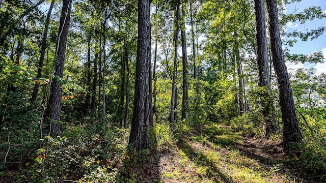 0 Tuten Rd, Round O, SC 29474 - view of woods