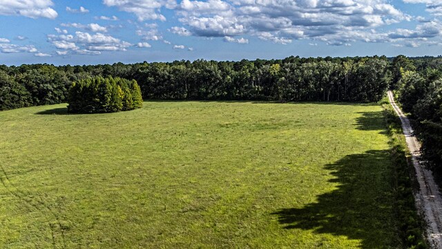0 Tuten Rd, Round O, SC 29474 - view of grassy yard with a view of trees