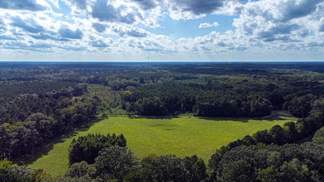 0 Tuten Rd, Round O, SC 29474 - drone / aerial view of a forest