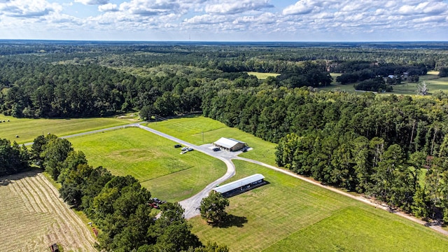 0 Tuten Rd, Round O, SC 29474 - view of rural area with a forest
