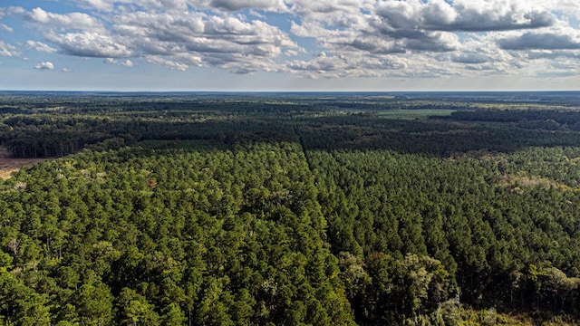 0 Tuten Rd, Round O, SC 29474 - drone / aerial view of a heavily wooded area